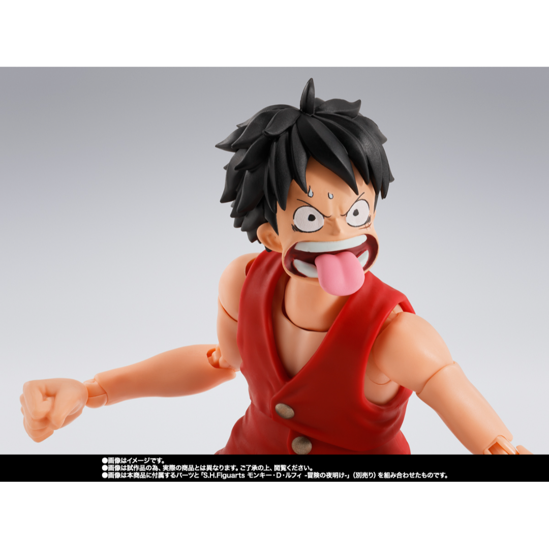 S.H.FIGUARTS ONE PIECE - DRACULE MIHAWK (HAWK-EYE)