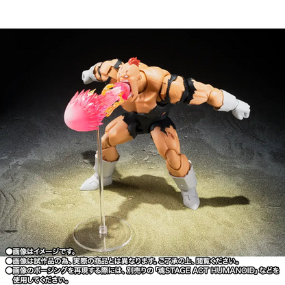 S.H.FIGUARTS DRAGON BALL - RECOOME (THE HIGHTMARE RECOOME)